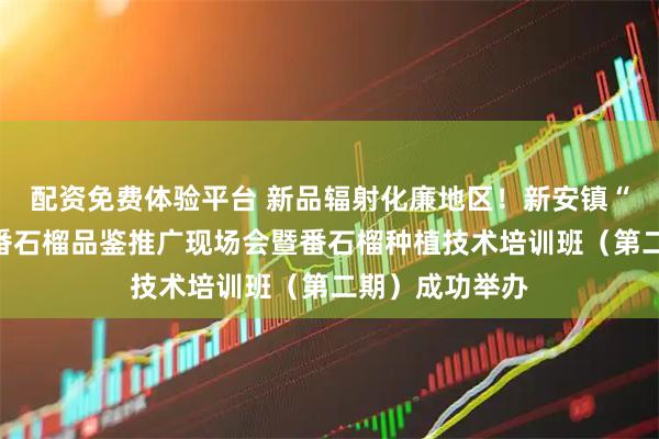 配资免费体验平台 新品辐射化廉地区！新安镇“芯塘红”无籽番石榴品鉴推广现场会暨番石榴种植技术培训班（第二期）成功举办