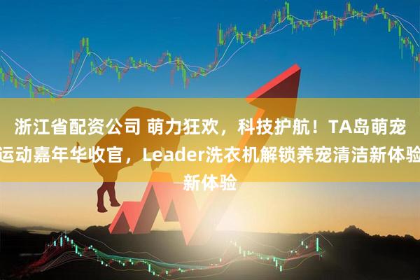 浙江省配资公司 萌力狂欢，科技护航！TA岛萌宠运动嘉年华收官，Leader洗衣机解锁养宠清洁新体验